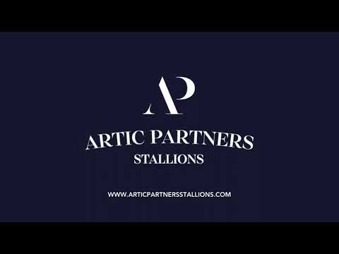CASCADELLO I, ENFIN DISPONIBLE EN FRANCE CHEZ ARTIC PARTNERS STALLIONS