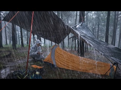 POWERFUL STORM IN THE FOREST ‼️CAMPING IN A RAIN STORM WITH THUNDER STORM