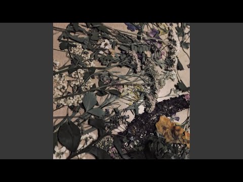 why as soon as we become so close we have to say goodbye