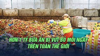 Hơn 1 tỷ bữa ăn bị vứt bỏ mỗi ngày trên toàn thế giới | VTV24