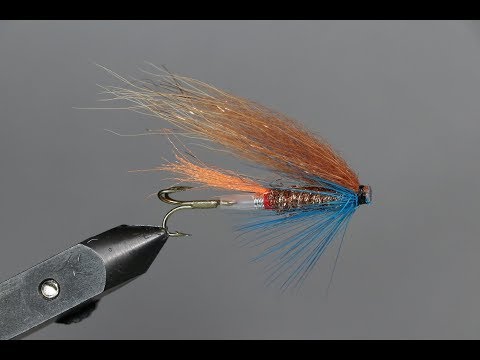 kettusiipisen putkiperhon sidonta