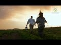 Unlocking The Power Of Goat Dung Manure Transform Your Farming And Gardening