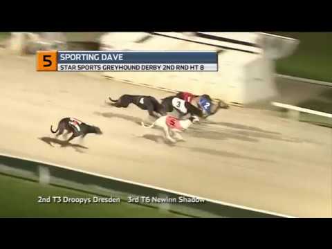 2018 STAR SPORTS DERBY - ROUND 2 HEAT 8 - T5 SPORTING DAVE