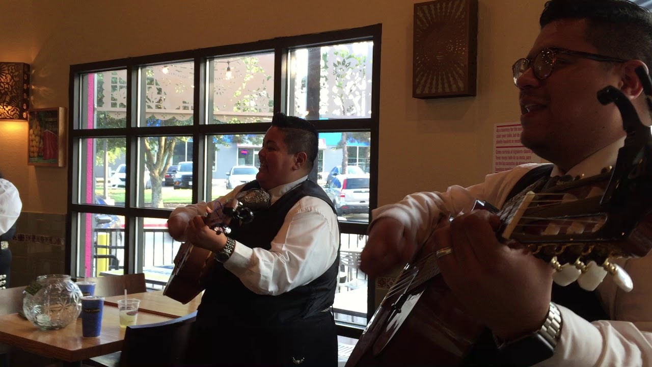 Promotional video thumbnail 1 for Mariachi Corazon De Tejas