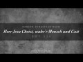 189 Herr Jesu Christ Wahr R Mensch Und Gott BWV 336
