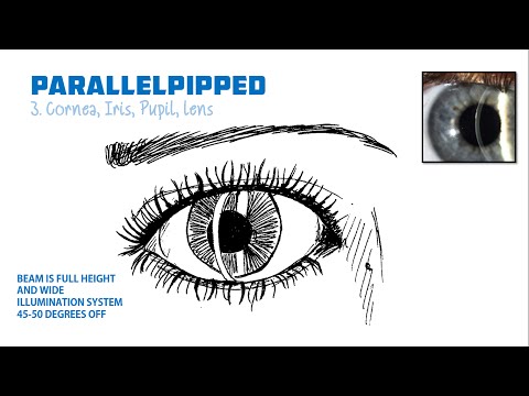 Slit Lamp Exam and Techniques