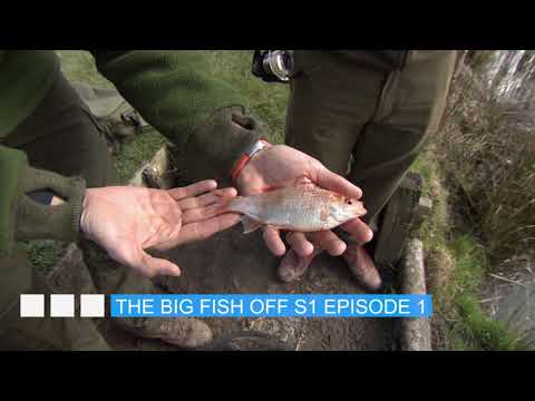 The Big Fish Off 1. rész