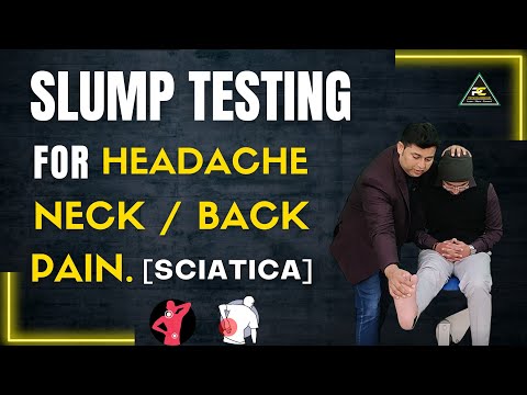 Conceptual Framework of Neurodynamics Treatment Approach The 3 Part System