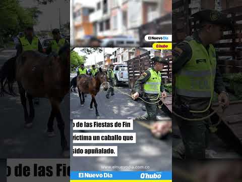 Un caballo fue víctima de maltrato animal en Casabianca, Tolima durante la celebración de año nuevo
