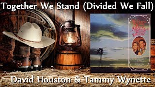 David Houston &amp; Tammy Wynette ‎- Together We Stand (Divided We Fall)