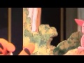 Playhouse Disney Live M4v