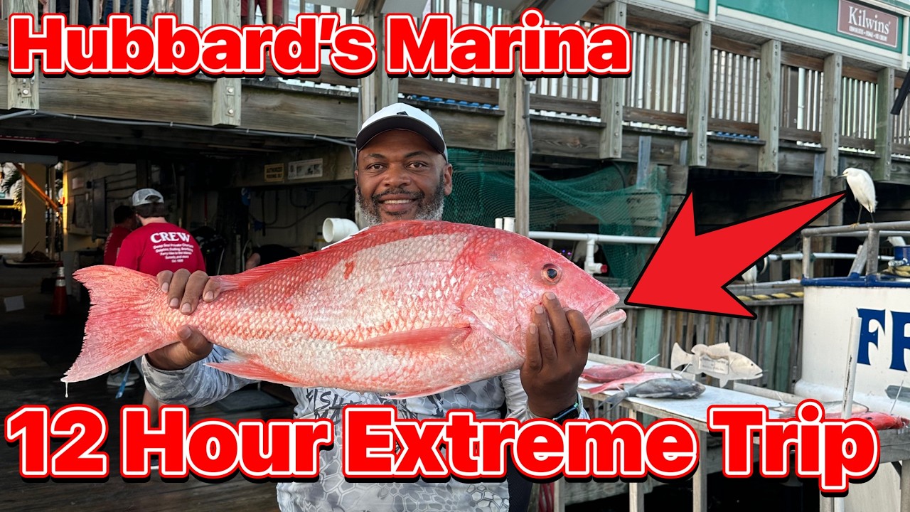 Hubbard’s 12-Hour Extreme Adventure: What Will We Catch?#hubbardsmarina #piscifun #redsnapper