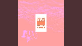 Particle House Ft.  Sousa Perth - Too Much Heart