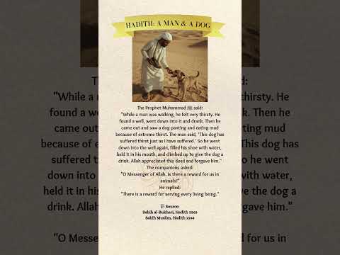 He Gave Water to a Dog… And Allah Forgave Him.. #islamicshorts #allah #islam