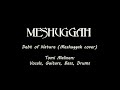 Debt of nature (Meshuggah cover)
