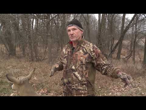 Hunting with Deer Decoys: Buck or Doe? | Public & Pressured Land Deer Hunter