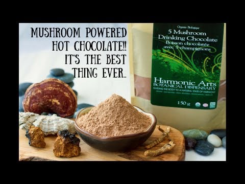 5 Mushroom Drinking Chocolate | Harmonic Arts