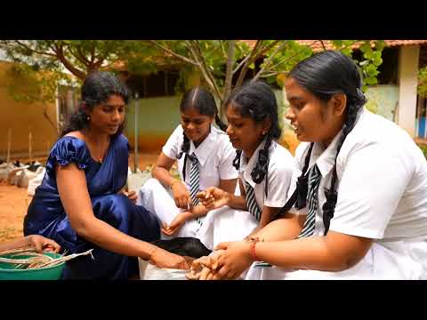 Feed Kids in Sri Lanka; Teach 15,000 to Grow Food