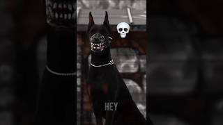 Download lagu Black Dog's Always Cute 💀☠️ #shorts #dog mp3