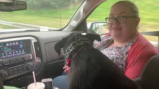 Following Foss - MN nature (CC Avail)