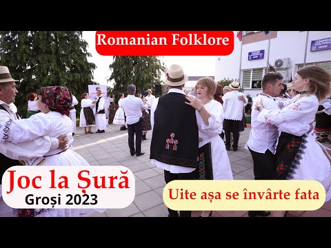 Puiuț de moroșan