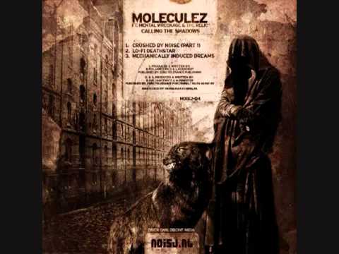Moleculez & Mental Wreckage - Crushed by Noise (Part 1)