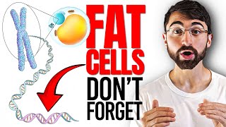 Your Fat Cells Remember! Can You Heal the Metabolic Scar of Obesity?