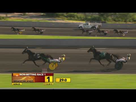 NJSS Final 2yo C&G Trot - NB RACE 01- July 12, 2019