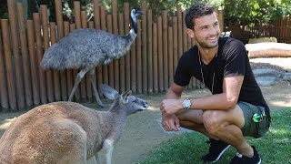 Dimitrov Visits Taronga Zoo Sydney 2016