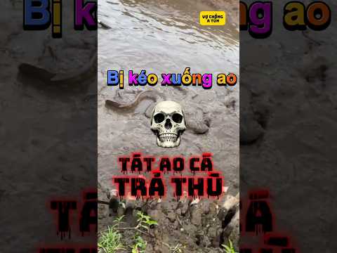 Có vậy mà tát cả cái ao #youtubeshort #haihuoc #funny #caucathugian #giaitri #vuinhon #fishing