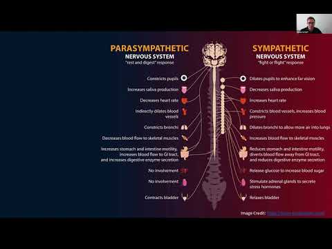Emotion Inspired (Machine) Learning, with Daniel McDuff, Microsoft Research