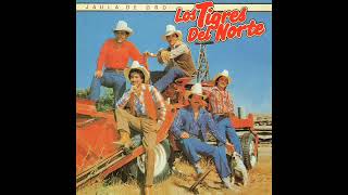 Que Te Hizo Olvidarme - Los Tigres Del Norte