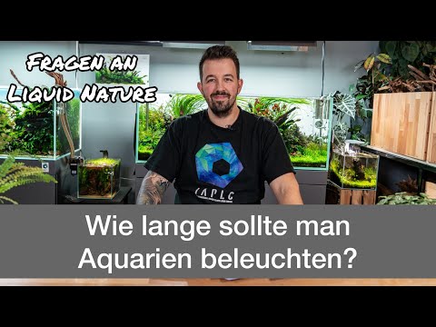 Wie lange sollte man Aquarien beleuchten? | Fragen an Liquid Nature