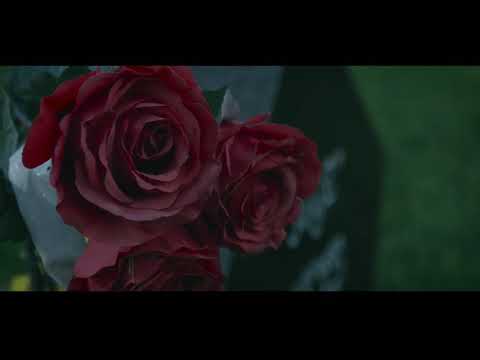 6FN Travoo Gotti x Chase Our Dreams ( Music Video) Shot By Travis Ilapt