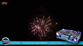 PROFI SHOW MULTI SHAPE 200 RAN