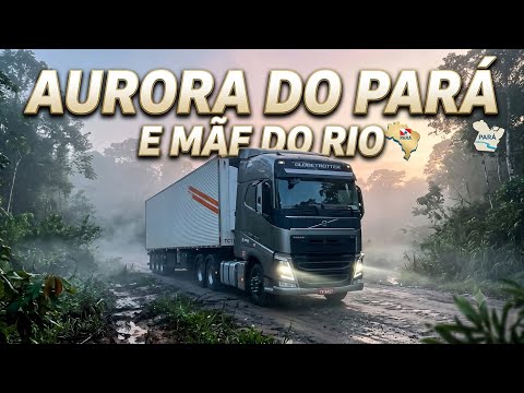 1108.BR-010 AURORA DO PARA E MÃE DO RIO/PA