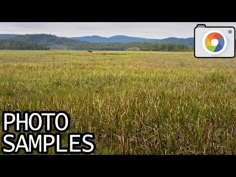 Video thumbnail for Video Review 1
