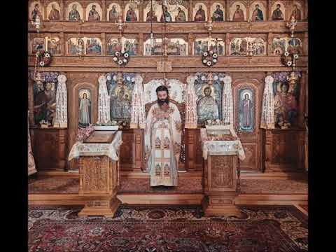 20210606 NICOLAE BALASOIU - DUMINICA A 6 A DUPA PASTI – VINDECAREA ORBULUI DIN NASTERE