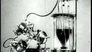 Central Unit - Giovane Madre