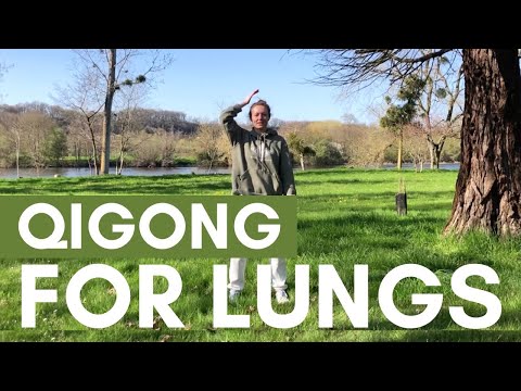 Qigong For Lungs & Immune System (Part. 2)  - Qigong Exercises For Better Breathing