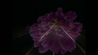 AJ Lambert – “Staff Of The Flag”