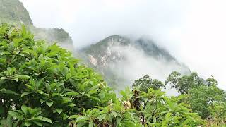 preview picture of video 'Nature and animal sounds from Doi Luang Chiang Dao- Thailand'