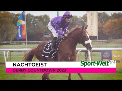 Derby Countdown 2023 - Nachtgeist