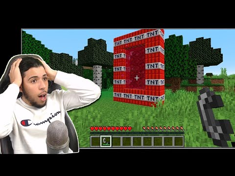 HAVE YOU SEEN THESE BUG MINECRAFT??!  (Me no..)