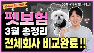 펫보험 추천 강아지보험 고양이까지 장단점 비교해서 최저가로 가입하세요(애완동물,반려견,적금)