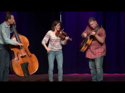 Swing Division 18 and over - Round 2 (Finals) - 2019 Weiser Fiddle Contest