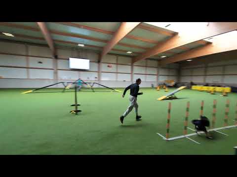 Agility