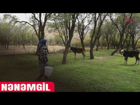 NƏNƏMGİL 21.10.2026 NTV XƏBƏR NTV XƏBƏR 10,4 B abone