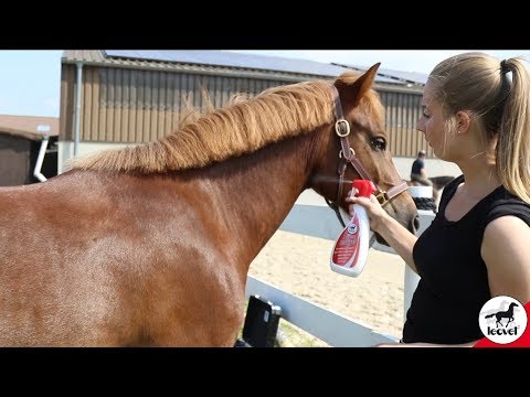 5-star Curry Comb from Leovet - with freaky.frodo