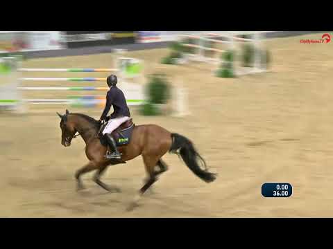 Quiwitino *2012 v. Quiwi Dream: Neumünster 2019 S**-Springen